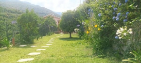 Iris Casa Vacanze